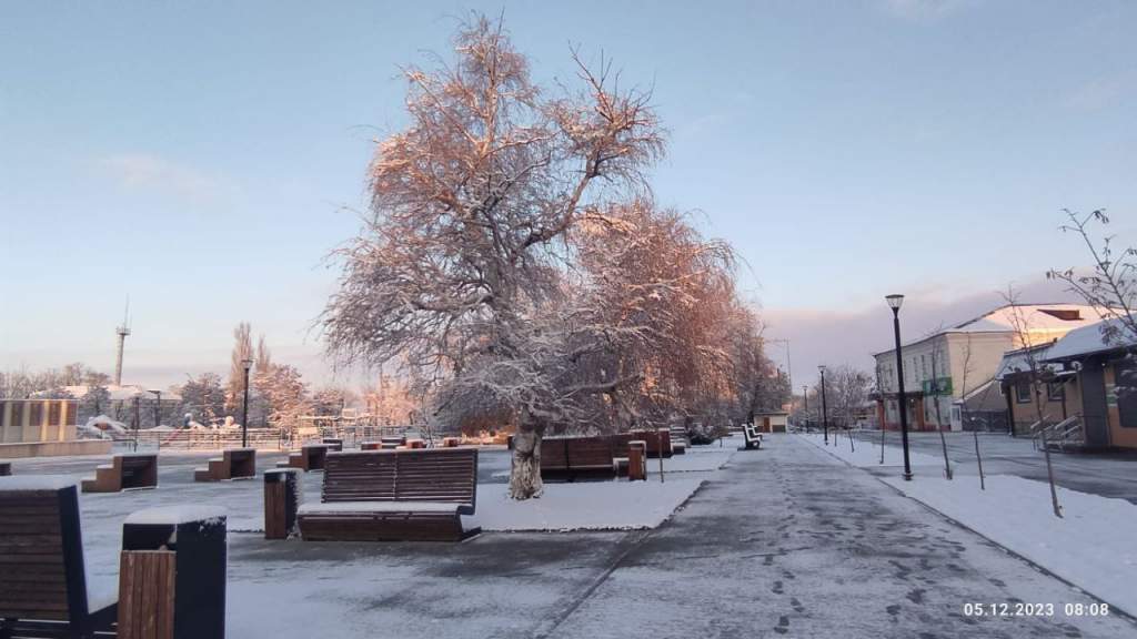 Погода на 6 декабря, Дубовское.