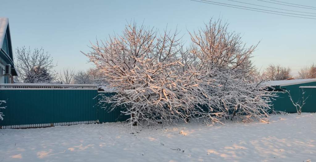 Погода, 10 декабря, село Дубовское, Ростовская область.
